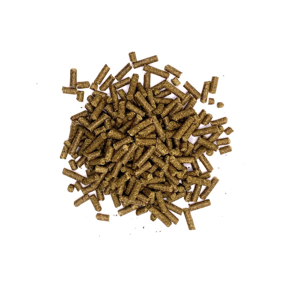 GRATIS Salutaria® Bio Leberkräuter Pellets 500g