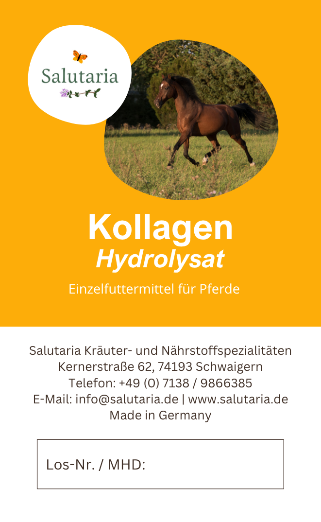 Kollagen für Pferde Gelenke, Sehnen, Arthrose