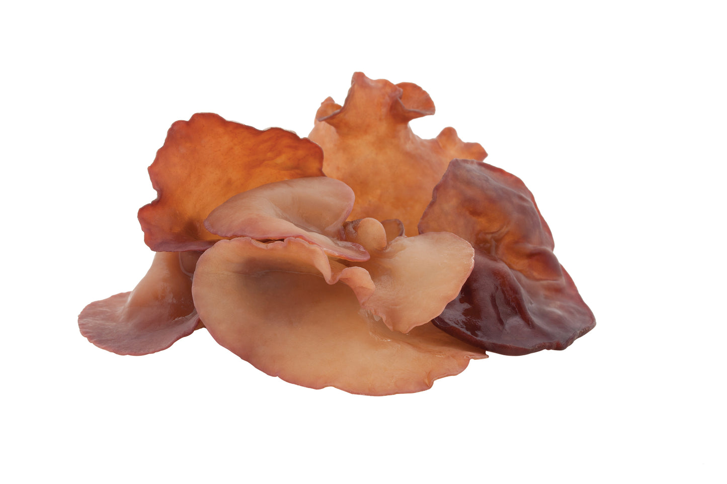 HAWLIK Bio Auricularia Extrakt Kapseln