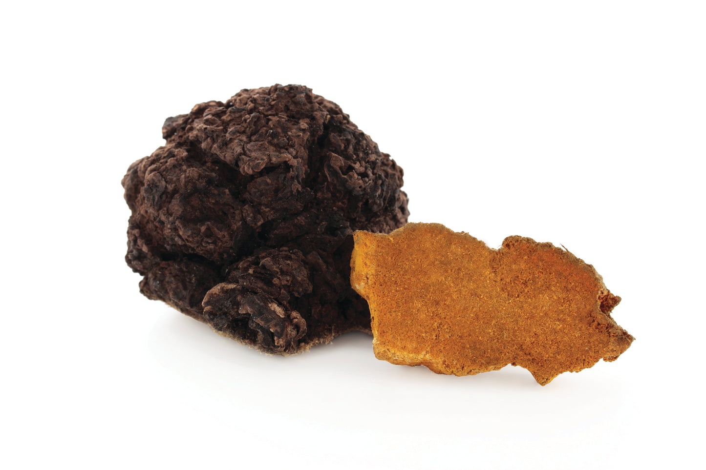 HAWLIK Bio Chaga Pulver Kapseln
