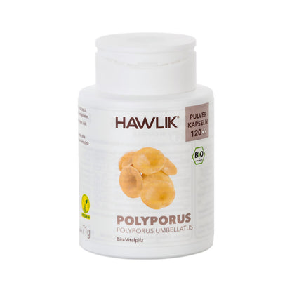 HAWLIK Bio Polyporus Pulver Kapseln