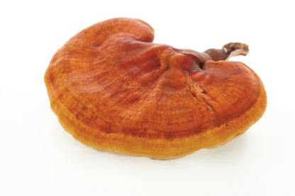 HAWLIK Bio Reishi Extrakt Kapseln