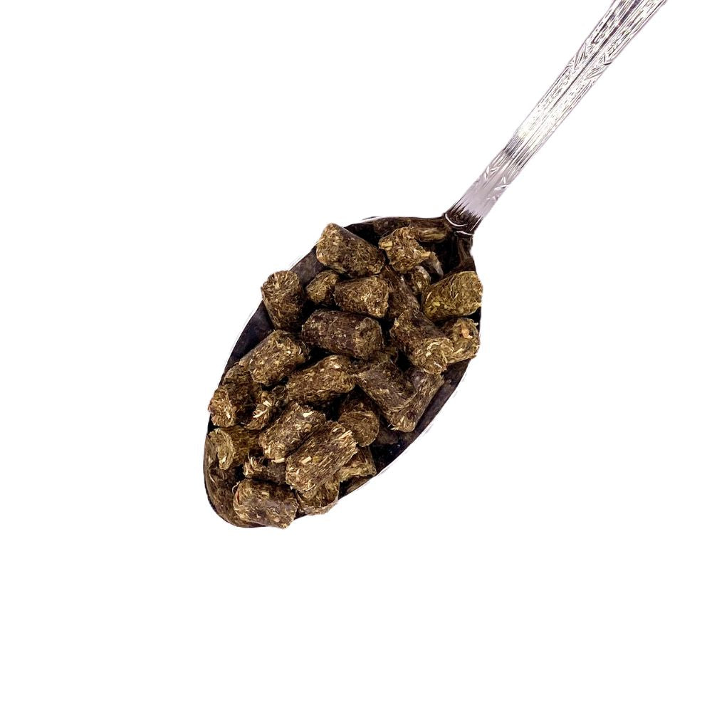 Salutaria Bio Heu Cobs Heu Pellets | Bio Raufutter für Pferde kaufen, Heuersatz für Pferde
