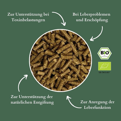 Salutaria Bio Leberkräuter für Pferde - natürlich entgiften, Leber Entgiftung, Kur