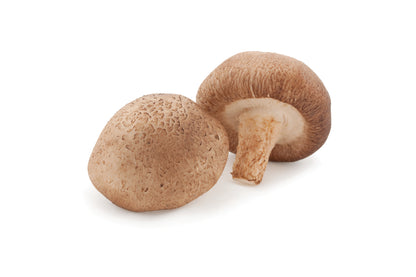 HAWLIK Bio Shiitake Extrakt Kapseln