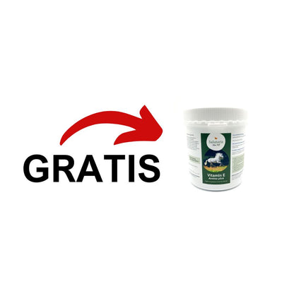 Salutaria® MIM / PSSM2 Premium-Bundle + GRATIS Salutaria® Vitamin E Amino plus 500g